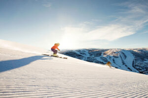 Skier and Snowboarder Journal – the UK’s authentic free ski and snowboard journal